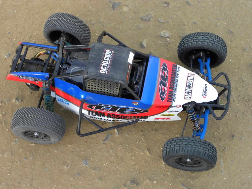 team associated short course buggy